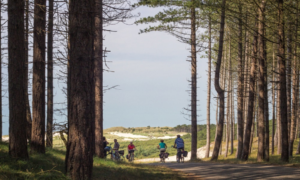Die Nordholländische Küste ist ein Aneinanderreihung von drei sehr verschiedene Naturschutzgebiete, einmalig in die Niederlände und Europa. Da die Zusammenstellung der Boden sehr unterschiedlich ist, hat jeder Naturschutzgebiet sein eigenen Karakter. Wegen ein ausgebreitetet System von Wander- und Fahrräderwege ist das ganze Gebiet völlig zugänglich gemacht. Ein Paradies für Wanderer, Radfahrer und Naturliebhaber.